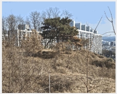  2025Ÿ��426  â�����