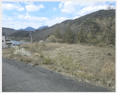  2025Ÿ��2453 �泲 �ݻ걺 ������ ��ȭ�� 124-10      ����(�Ӿ�)���