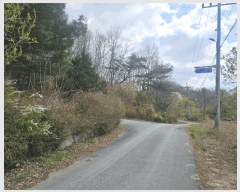  2025Ÿ��2453 �泲 �ݻ걺 ������ ��ȭ�� 124-10      ����(�Ӿ�)���