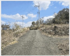  2025Ÿ��2453 �泲 �ݻ걺 ������ ��ȭ�� 124-10      ����(�Ӿ�)���