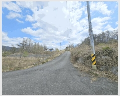  2025Ÿ��2453 �泲 �ݻ걺 ������ ��ȭ�� 124-10      ����(�Ӿ�)���