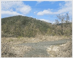  2025Ÿ��2453 �泲 �ݻ걺 ������ ��ȭ�� 124-10      ����(�Ӿ�)���