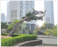  2025Ÿ��2552 ����Ư����ġ�� �Ƹ��� 1363 �����⸶��11���� 1101�� 17��1701ȣ     ����Ʈ���