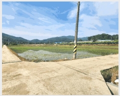  2025Ÿ��3463 ����Ư����ġ�� ������ ������ 385-6       ����(��)���