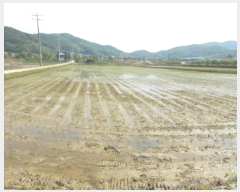  2025Ÿ��3463 ����Ư����ġ�� ������ ������ 385-6       ����(��)���