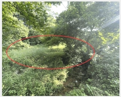  2025Ÿ��3600 ����Ư����ġ�� �屺�� ���븮 352-8       ����(����)���