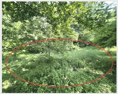  2025Ÿ��3600 ����Ư����ġ�� �屺�� ���븮 352-8       ����(����)���