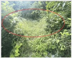  2025Ÿ��3600 ����Ư����ġ�� �屺�� ���븮 352-8       ����(����)���