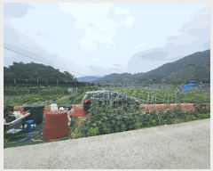  2025Ÿ��3625 �泲 �ݻ걺 ���ϸ� ������ 234-2      ����(��)���