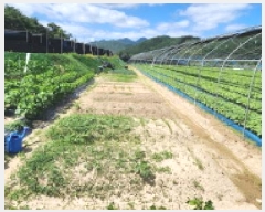  2025Ÿ��3625  ����