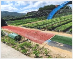  2025Ÿ��3625  ����