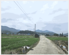  2025Ÿ��3625  ����