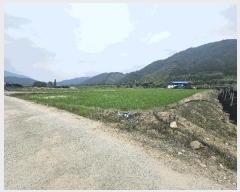  2025Ÿ��3625  ����