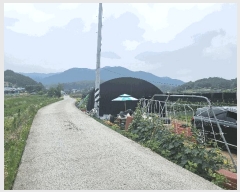  2025Ÿ��3625  ����