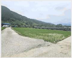  2025Ÿ��3625  ����