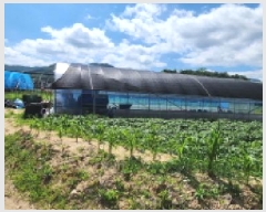  2025Ÿ��3625  ����