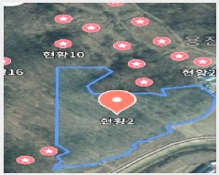  2025Ÿ��500919  �����