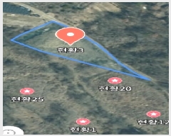  2025Ÿ��500919  �����