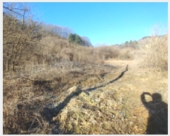  2025Ÿ��500919  �����