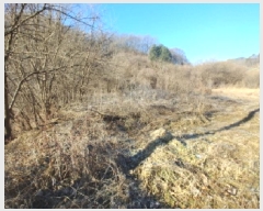  2025Ÿ��500919  �����