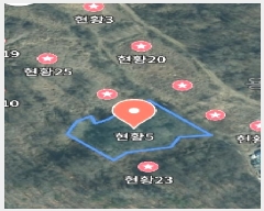  2025Ÿ��500919  �����