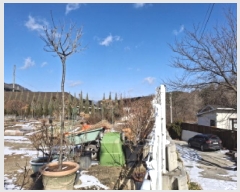  2025Ÿ��501042 ���� ���� ������ 843-25       ����(��1)���