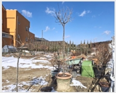  2025Ÿ��501042 ���� ���� ������ 843-25       ����(��1)���