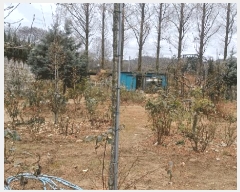  2025Ÿ��501042 ���� ���� ������ 843-25       ����(��1)���