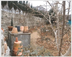  2025Ÿ��501042 ���� ���� ������ 843-25       ����(��1)���