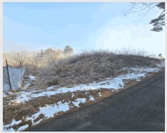  2025Ÿ501622 Ưġ  Ǹ 1-33       (Ӿ)