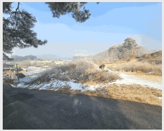  2025Ÿ501622 Ưġ  Ǹ 1-33       (Ӿ)