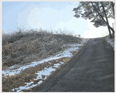  2025Ÿ501622 Ưġ  Ǹ 1-33       (Ӿ)