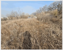  2025Ÿ501622 Ưġ  Ǹ 1-33       (Ӿ)