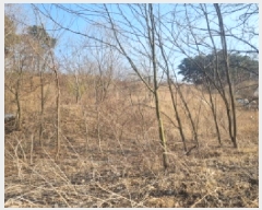  2025Ÿ501622 Ưġ  Ǹ 1-33       (Ӿ)