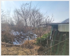  2025Ÿ501622 Ưġ  Ǹ 1-33       (Ӿ)