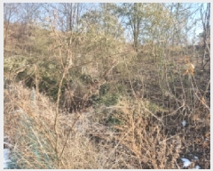  2025Ÿ501622 Ưġ  Ǹ 1-33       (Ӿ)