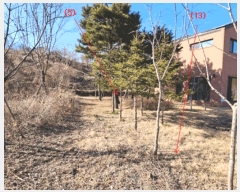  2025Ÿ��501738 ����Ư����ġ�� ��� 893-33        ����(����)���