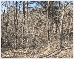  2025Ÿ501785 Ưġ ݳ ġ 6-1       (Ӿ)