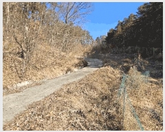  2025Ÿ501785 Ưġ ݳ ġ 6-1       (Ӿ)