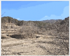  2025Ÿ501785 Ưġ ݳ ġ 6-1       (Ӿ)