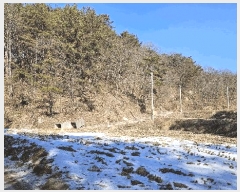  2025Ÿ501785 Ưġ ݳ ġ 6-1       (Ӿ)