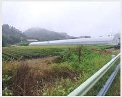  2025Ÿ��501895  ����