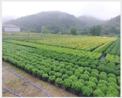  2025Ÿ��501895  ����