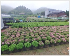  2025Ÿ��501895  ����