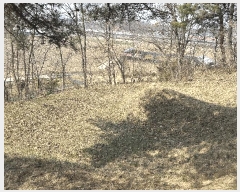  2025Ÿ��502006  �Ӿ߰��