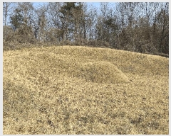  2025Ÿ��502006  �Ӿ߰��