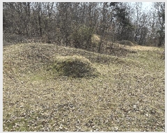  2025Ÿ��502006  �Ӿ߰��