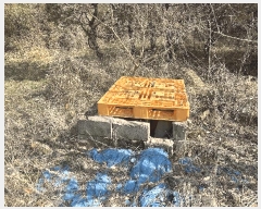  2025Ÿ��502006  �Ӿ߰��