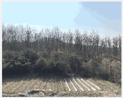  2025Ÿ��502006  �Ӿ߰��