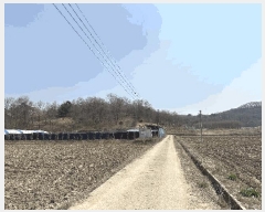  2025Ÿ��502006  �Ӿ߰��